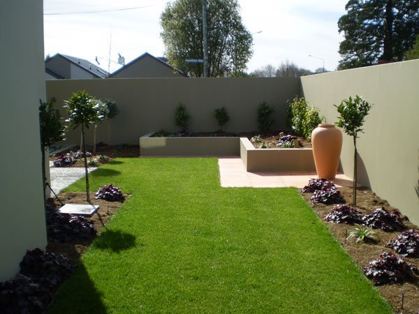 Beautiful Lawn- Home Garden