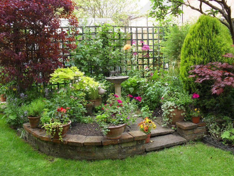 Home backyard Garden