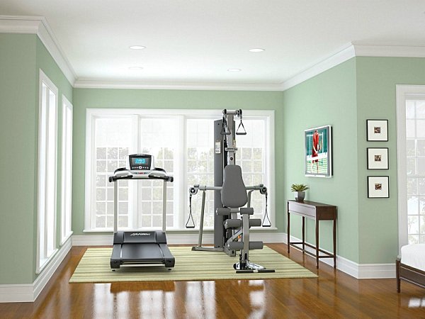 contemporary-home-gym