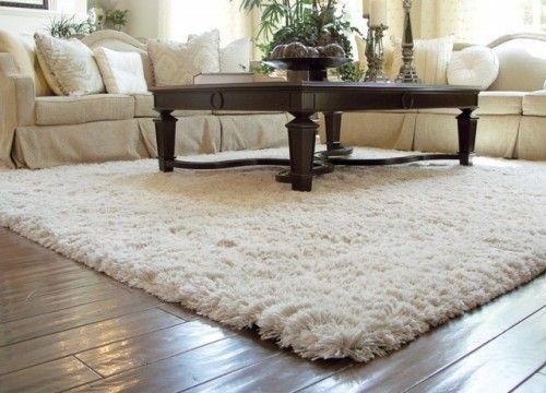 Cozy comfirtable Rugs for your home