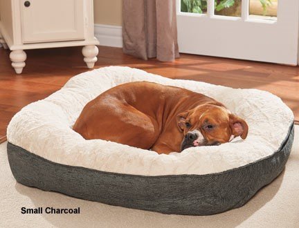 Nest dog Beds