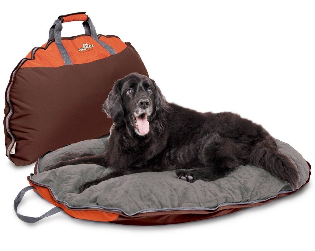 Travel Pet Beds