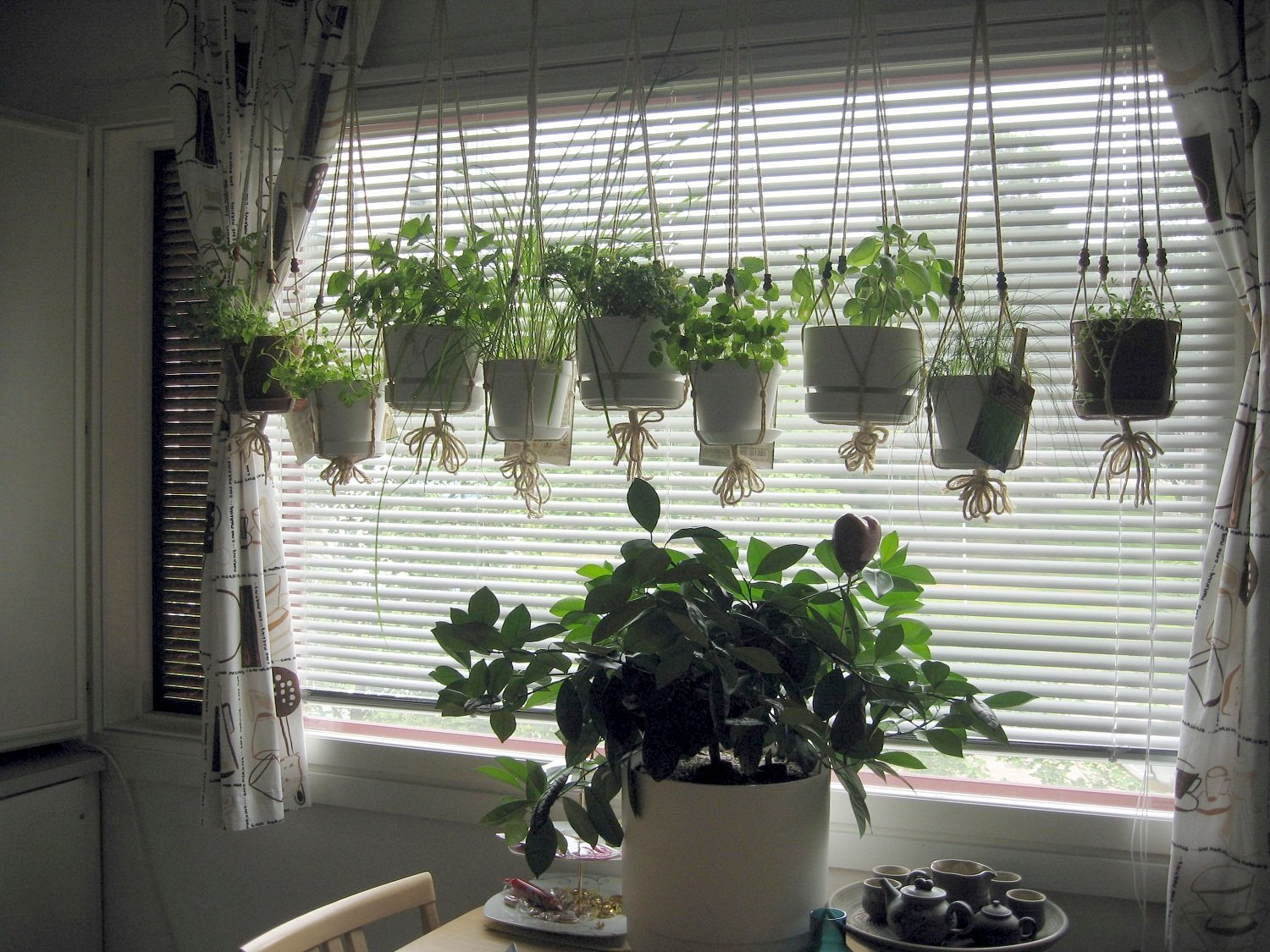 rustic-dining-room-design-with-hanging-from-ceiling-indoor-herb-garden-planter-pots