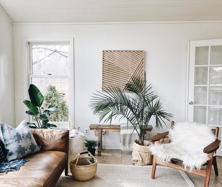 plant in room-interior-design-living-room-interior