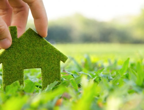 How to Make your Home Eco-Friendly?