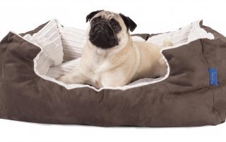 Quick guide to pet Beds