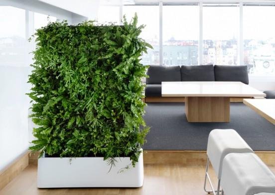 office planter indoor green