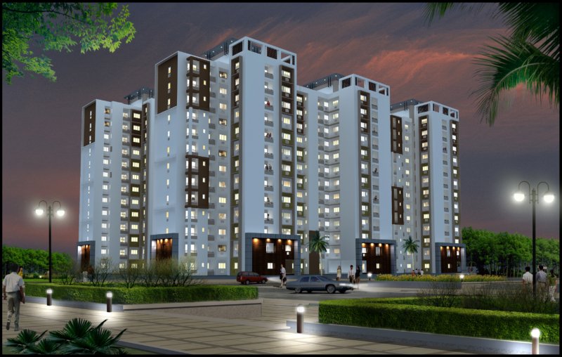 Hi Riser Spring Greens Lucknow