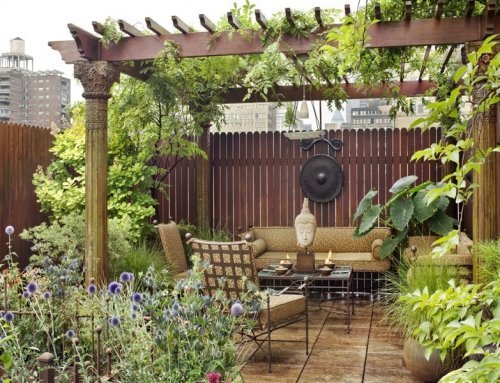 How to create a Fabulous Terrace Garden?